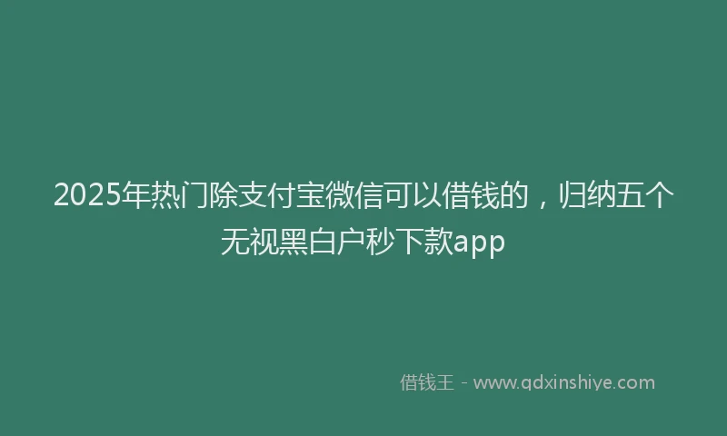 2025年热门除支付宝微信可以借钱的，归纳五个无视黑白户秒下款app