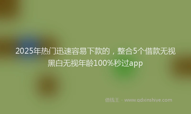 2025年热门迅速容易下款的,整合5个借款无视黑白无视年龄100%秒过app