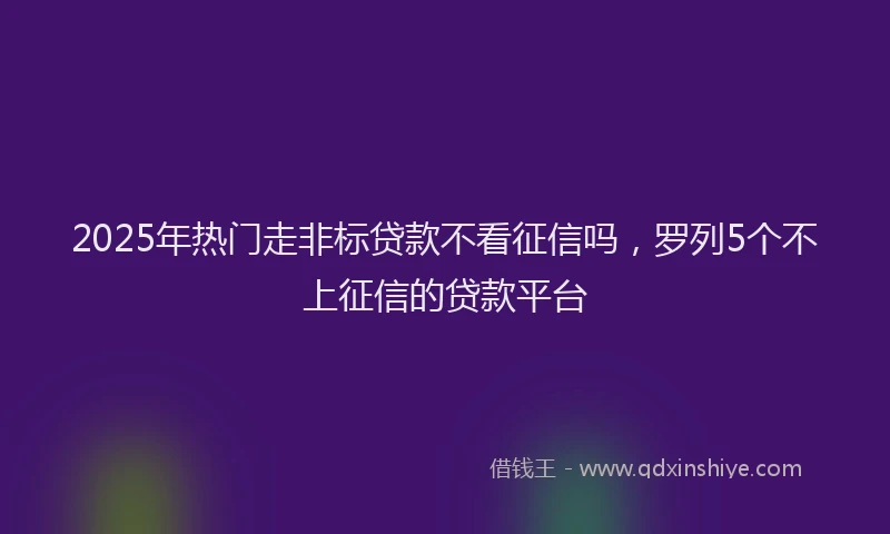 2025年热门走非标贷款不看征信吗，罗列5个不上征信的贷款平台
