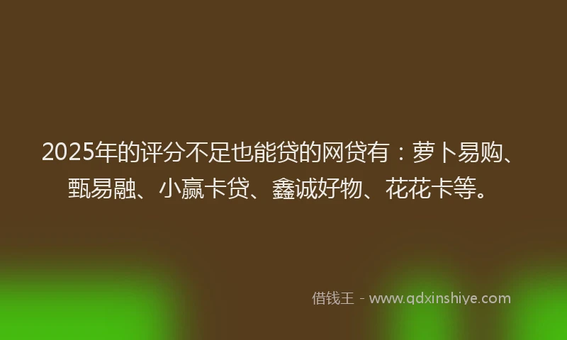 2025年的评分不足也能贷的网贷有：萝卜易购、甄易融、小赢卡贷、鑫诚好物、花花卡等。