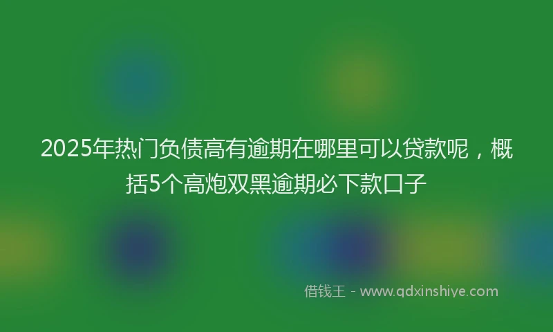 2025年热门负债高有逾期在哪里可以贷款呢，概括5个高炮双黑逾期必下款口子