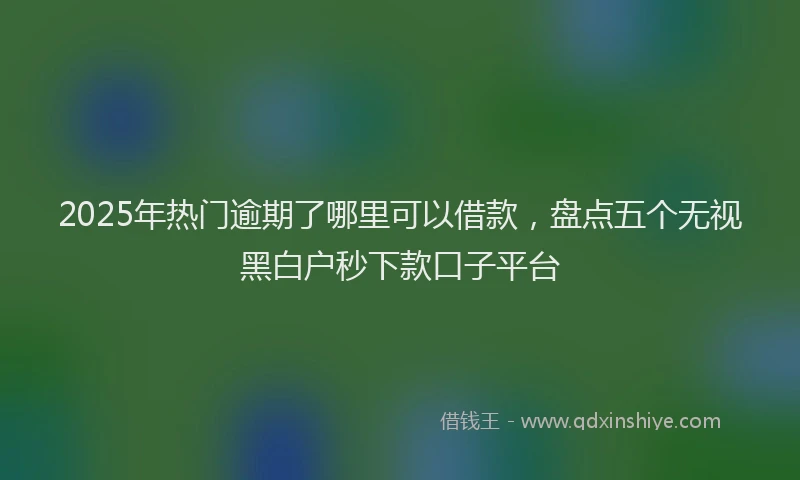 2025年热门逾期了哪里可以借款,盘点五个无视黑白户秒下款口子平台