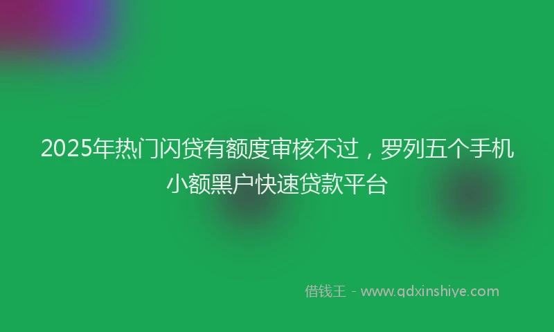 2025年热门闪贷有额度审核不过,罗列五个手机小额黑户快速贷款平台