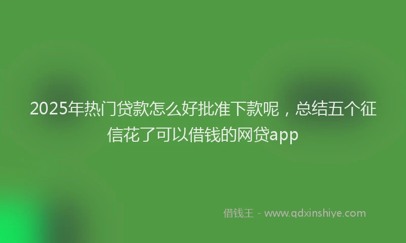 2025年热门贷款怎么好批准下款呢,总结五个征信花了可以借钱的网贷app