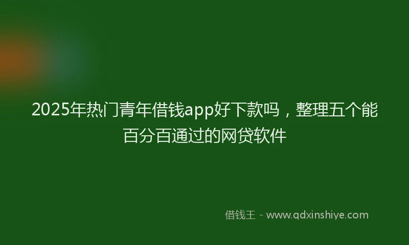2025年热门青年借钱app好下款吗，整理五个能百分百通过的网贷软件