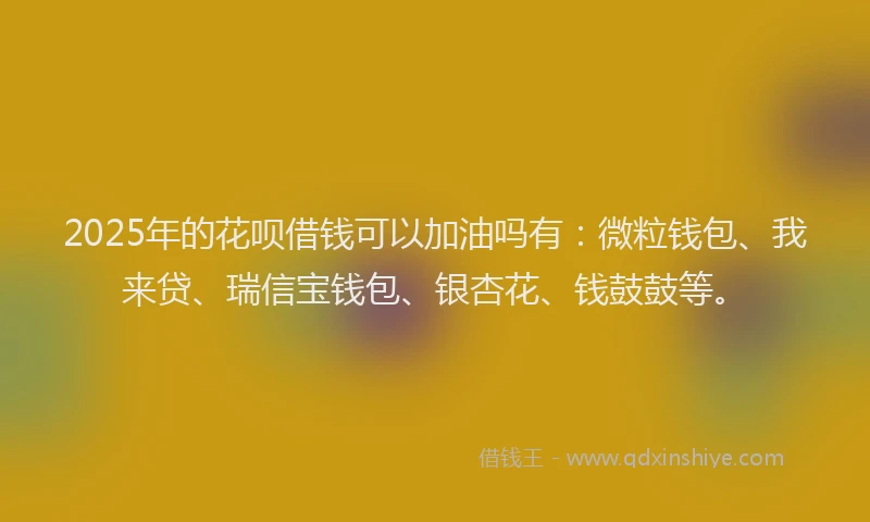 2025年的花呗借钱可以加油吗有:微粒钱包、我来贷、瑞信宝钱包、银杏花、钱鼓鼓等。
