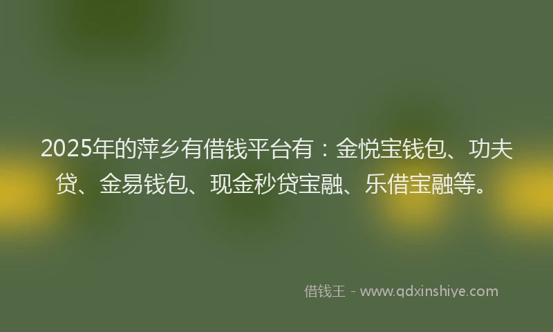 2025年的萍乡有借钱平台有：金悦宝钱包、功夫贷、金易钱包、现金秒贷宝融、乐借宝融等。