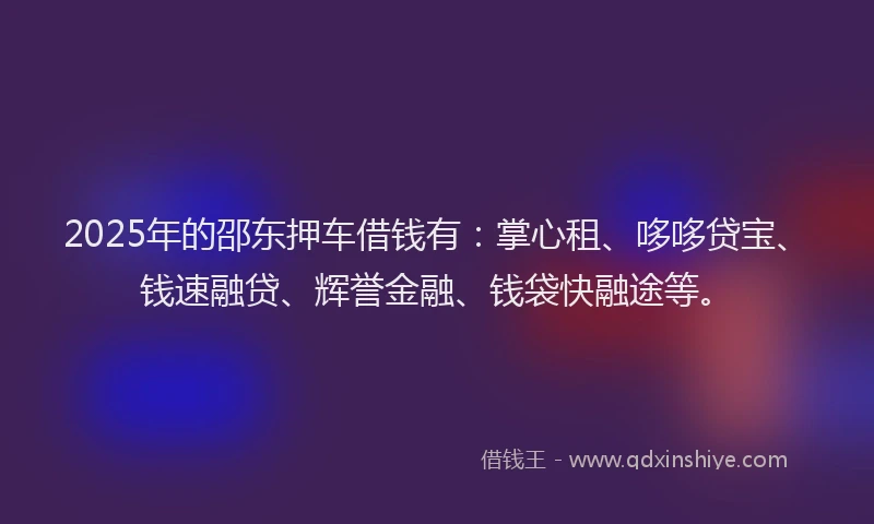 2025年的邵东押车借钱有：掌心租、哆哆贷宝、钱速融贷、辉誉金融、钱袋快融途等。