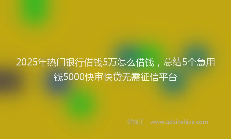 2025年热门银行借钱5万怎么借钱，总结5个急用钱5000快审快贷无需征信平台