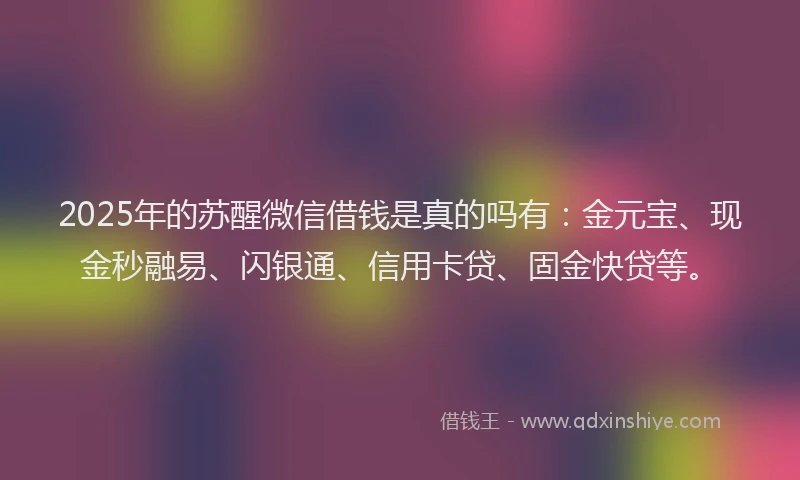 2025年的苏醒微信借钱是真的吗有：金元宝、现金秒融易、闪银通、信用卡贷、固金快贷等。