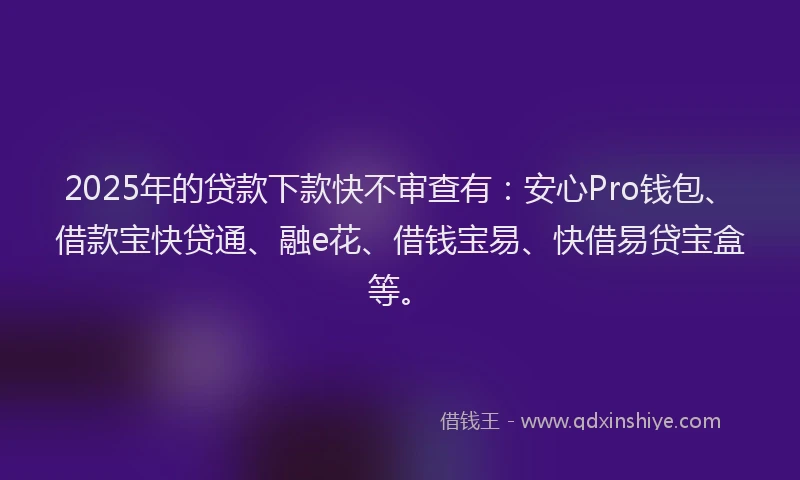 2025年的贷款下款快不审查有:安心Pro钱包、借款宝快贷通、融e花、借钱宝易、快借易贷宝盒等。