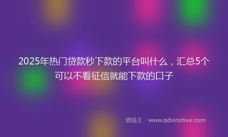 2025年热门贷款秒下款的平台叫什么,汇总5个可以不看征信就能下款的口子