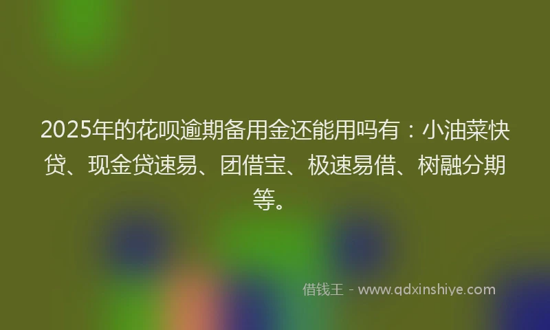 2025年的花呗逾期备用金还能用吗有：小油菜快贷、现金贷速易、团借宝、极速易借、树融分期等。