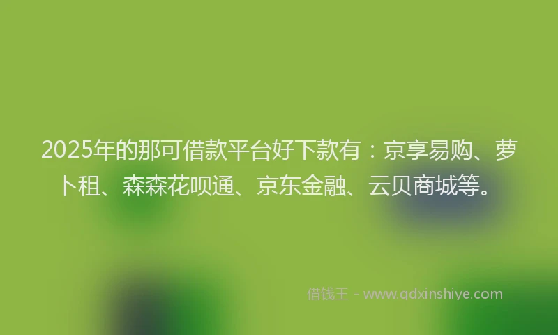 2025年的那可借款平台好下款有:京享易购、萝卜租、森森花呗通、京东金融、云贝商城等。