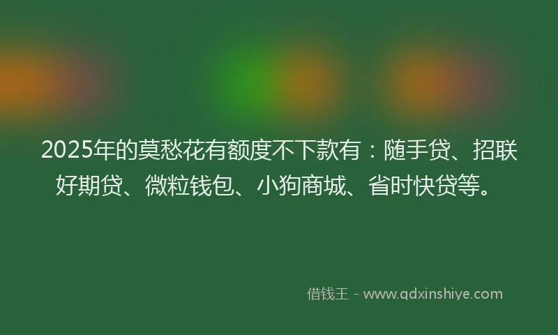 2025年的莫愁花有额度不下款有：随手贷、招联好期贷、微粒钱包、小狗商城、省时快贷等。