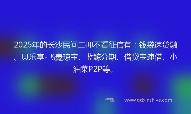 2025年的长沙民间二押不看征信有：钱袋速贷融、贝乐享-飞鑫琼宝、蓝鲸分期、借贷宝速借、小油菜P2P等。