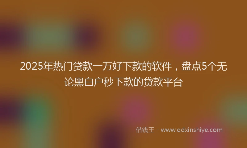 2025年热门贷款一万好下款的软件，盘点5个无论黑白户秒下款的贷款平台