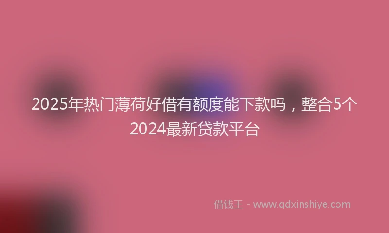 2025年热门薄荷好借有额度能下款吗，整合5个2024最新贷款平台