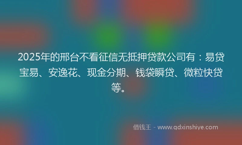 2025年的邢台不看征信无抵押贷款公司有:易贷宝易、安逸花、现金分期、钱袋瞬贷、微粒快贷等。