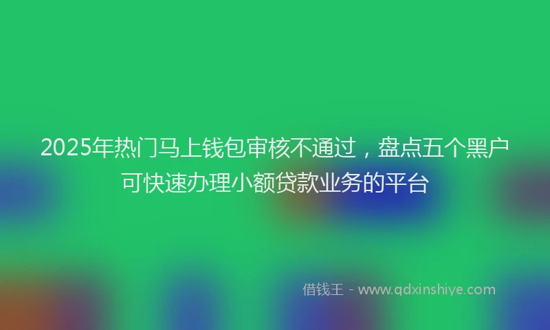 2025年热门马上钱包审核不通过，盘点五个黑户可快速办理小额贷款业务的平台