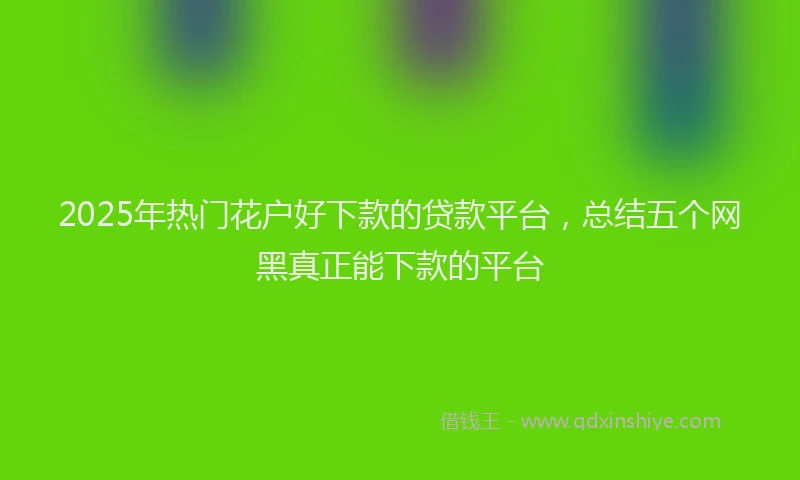 2025年热门花户好下款的贷款平台，总结五个网黑真正能下款的平台