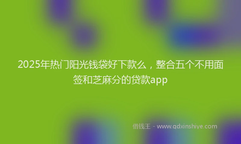 2025年热门阳光钱袋好下款么，整合五个不用面签和芝麻分的贷款app