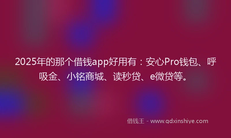 2025年的那个借钱app好用有：安心Pro钱包、呼吸金、小铭商城、读秒贷、e微贷等。