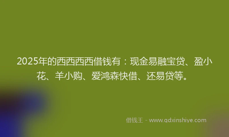 2025年的西西西西借钱有：现金易融宝贷、盈小花、羊小购、爱鸿森快借、还易贷等。