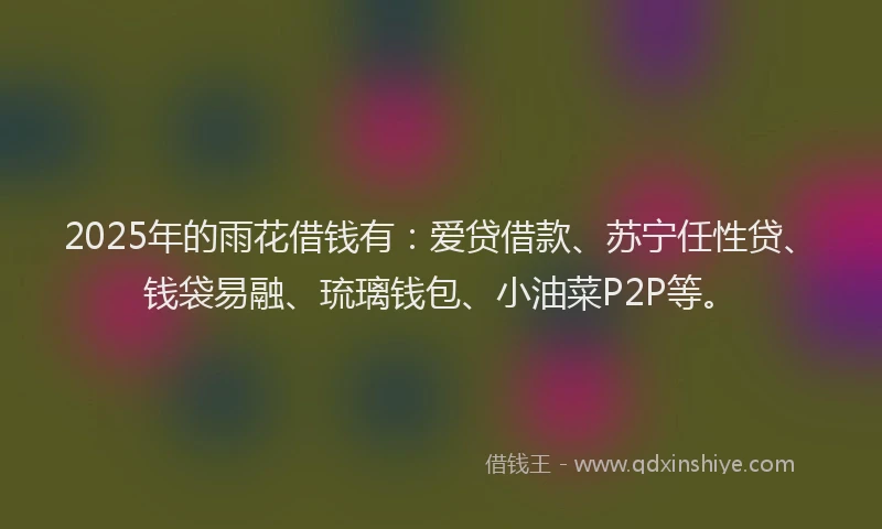 2025年的雨花借钱有:爱贷借款、苏宁任性贷、钱袋易融、琉璃钱包、小油菜P2P等。