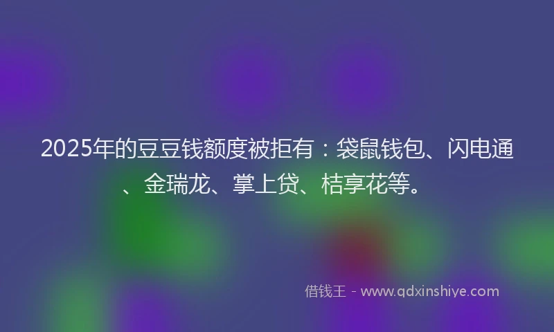 2025年的豆豆钱额度被拒有：袋鼠钱包、闪电通、金瑞龙、掌上贷、桔享花等。