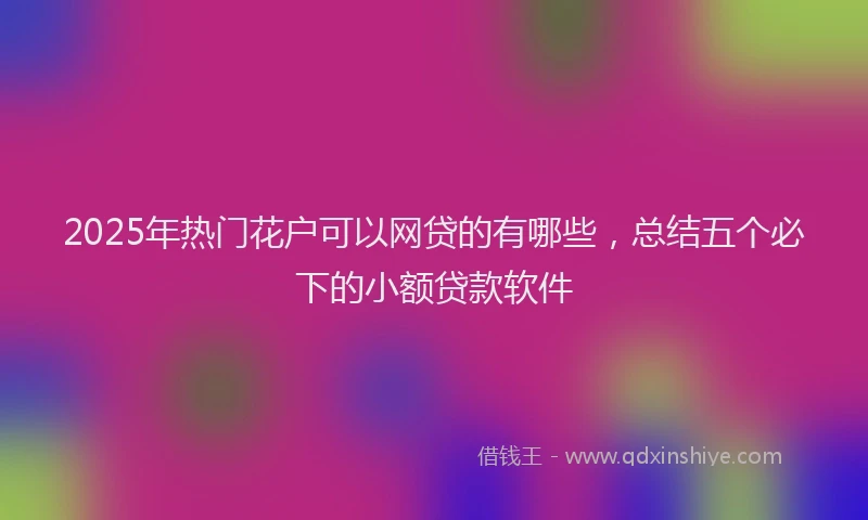 2025年热门花户可以网贷的有哪些，总结五个必下的小额贷款软件