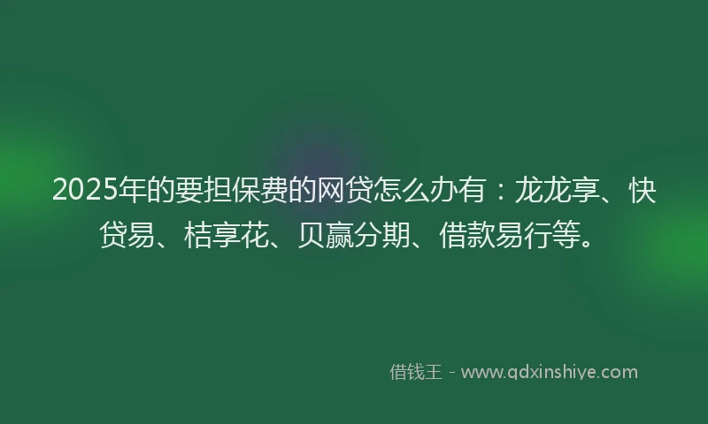 2025年的要担保费的网贷怎么办有：龙龙享、快贷易、桔享花、贝赢分期、借款易行等。