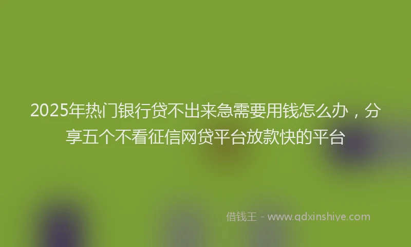 2025年热门银行贷不出来急需要用钱怎么办，分享五个不看征信网贷平台放款快的平台