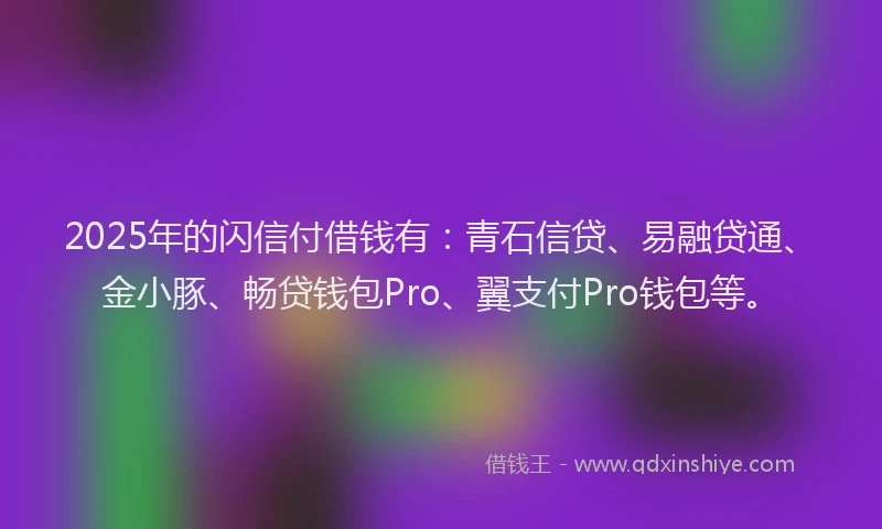 2025年的闪信付借钱有：青石信贷、易融贷通、金小豚、畅贷钱包Pro、翼支付Pro钱包等。