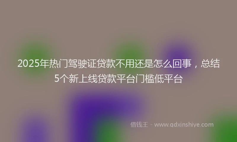 2025年热门驾驶证贷款不用还是怎么回事，总结5个新上线贷款平台门槛低平台