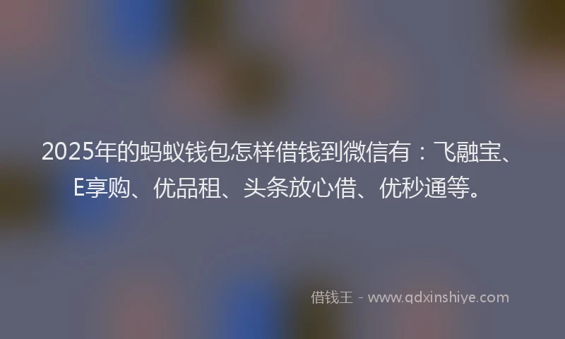 2025年的蚂蚁钱包怎样借钱到微信有：飞融宝、E享购、优品租、头条放心借、优秒通等。