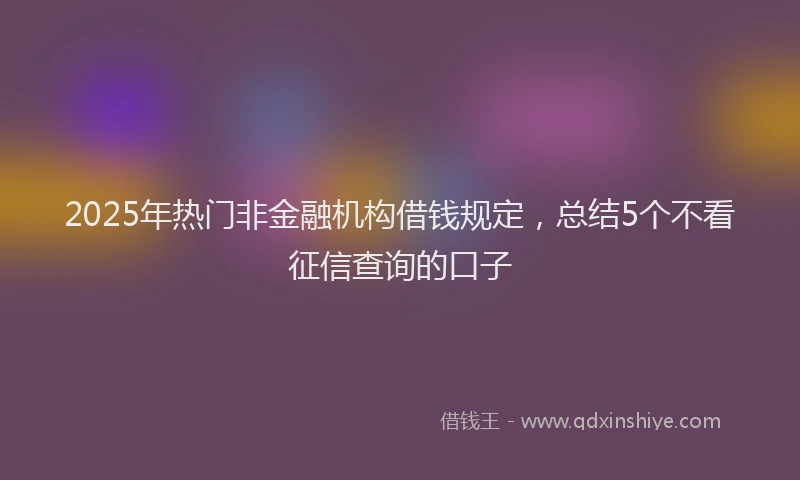 2025年热门非金融机构借钱规定，总结5个不看征信查询的口子