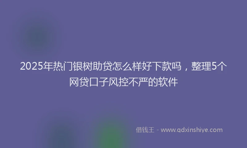 2025年热门银树助贷怎么样好下款吗，整理5个网贷口子风控不严的软件