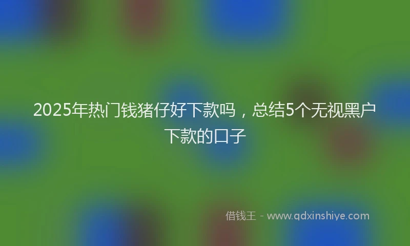 2025年热门钱猪仔好下款吗，总结5个无视黑户下款的口子