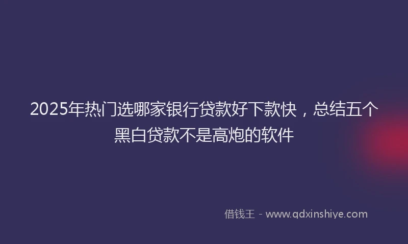 2025年热门选哪家银行贷款好下款快,总结五个黑白贷款不是高炮的软件