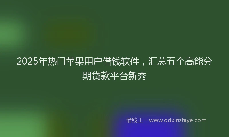 2025年热门苹果用户借钱软件，汇总五个高能分期贷款平台新秀
