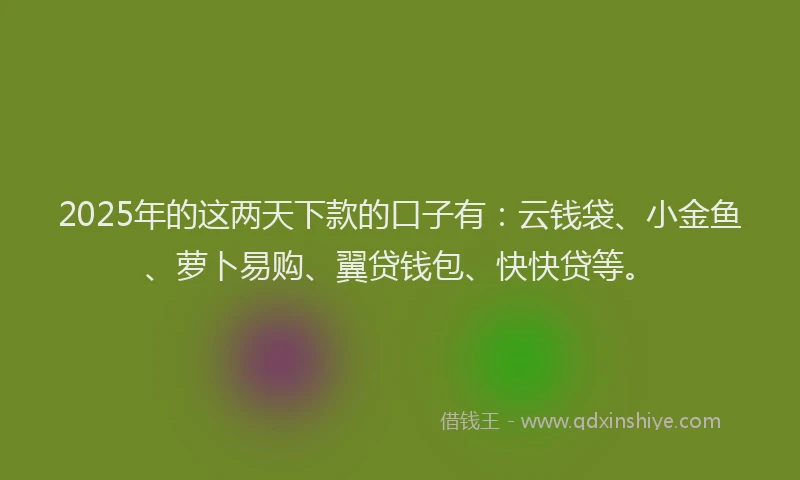 2025年的这两天下款的口子有：云钱袋、小金鱼、萝卜易购、翼贷钱包、快快贷等。
