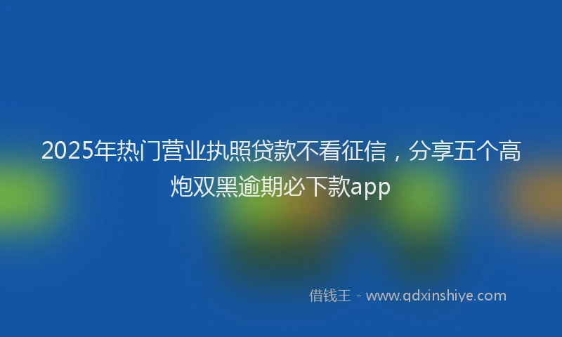 2025年热门营业执照贷款不看征信，分享五个高炮双黑逾期必下款app