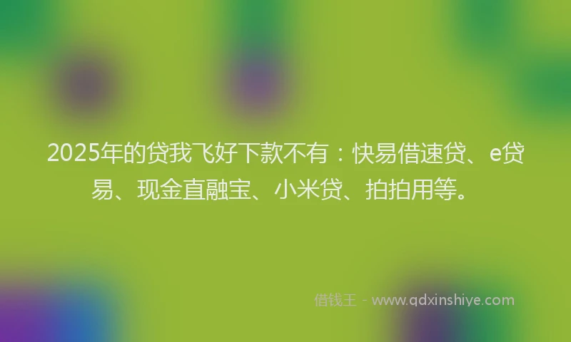 2025年的贷我飞好下款不有:快易借速贷、e贷易、现金直融宝、小米贷、拍拍用等。