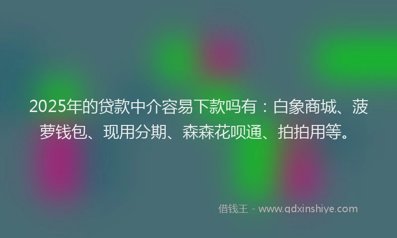 2025年的贷款中介容易下款吗有:白象商城、菠萝钱包、现用分期、森森花呗通、拍拍用等。