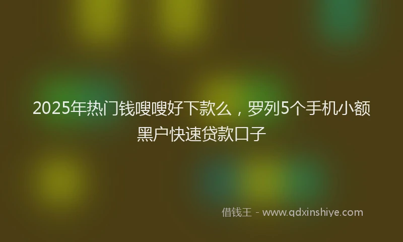 2025年热门钱嗖嗖好下款么，罗列5个手机小额黑户快速贷款口子