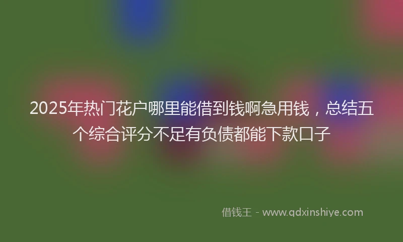 2025年热门花户哪里能借到钱啊急用钱，总结五个综合评分不足有负债都能下款口子