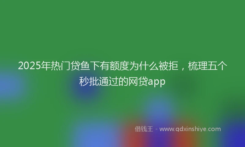 2025年热门贷鱼下有额度为什么被拒,梳理五个秒批通过的网贷app