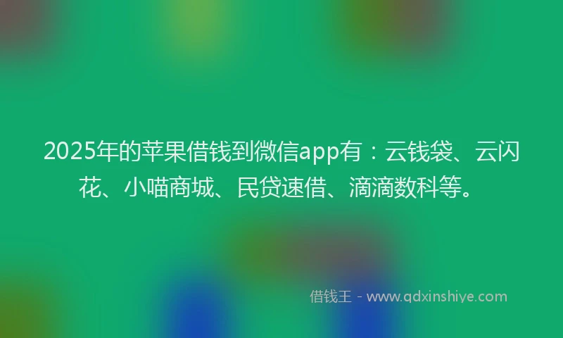 2025年的苹果借钱到微信app有:云钱袋、云闪花、小喵商城、民贷速借、滴滴数科等。