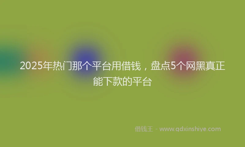 2025年热门那个平台用借钱，盘点5个网黑真正能下款的平台
